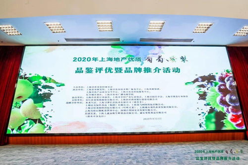 滬上佳果競(jìng)芳華 地產(chǎn)葡萄蜜梨評(píng)優(yōu)活動(dòng)圓滿(mǎn)落幕